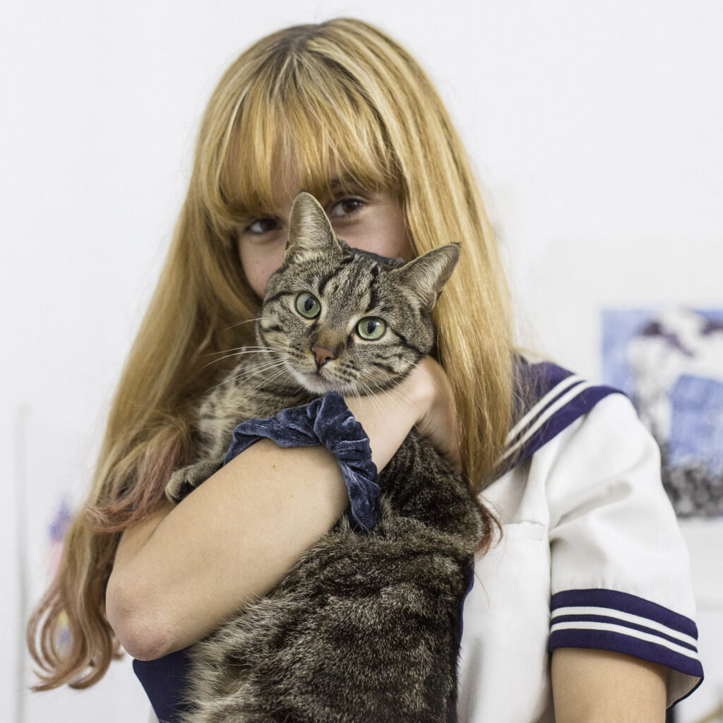 Imagen destacada de noticia: AXOLOTES MEXICANOS: "Doble Check" Single Digital y video-clip Adelanto de su álbum "Salu2"